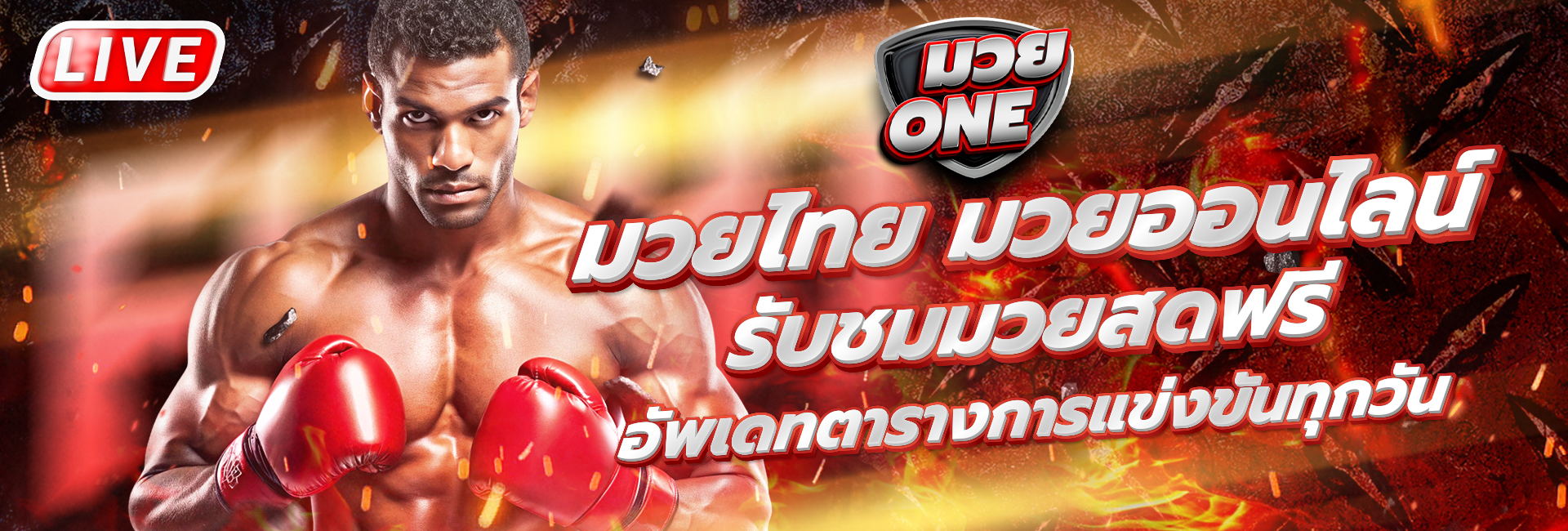 มวยone มวยไทย-สากล เข้ารับชมแบบฟรีๆ